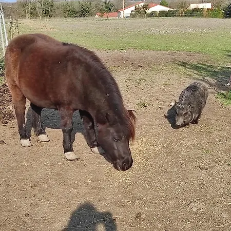 Casa vacanze La Mini Ferme Avec Piscine