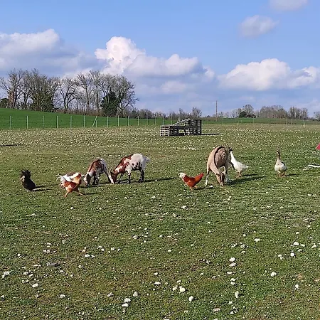 La Mini Ferme Avec Piscine Mailhoc