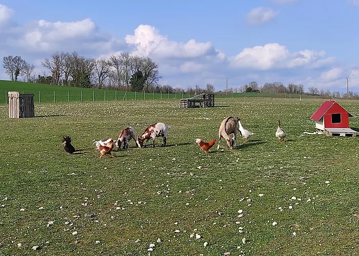 La Mini Ferme Avec Piscine Mailhoc